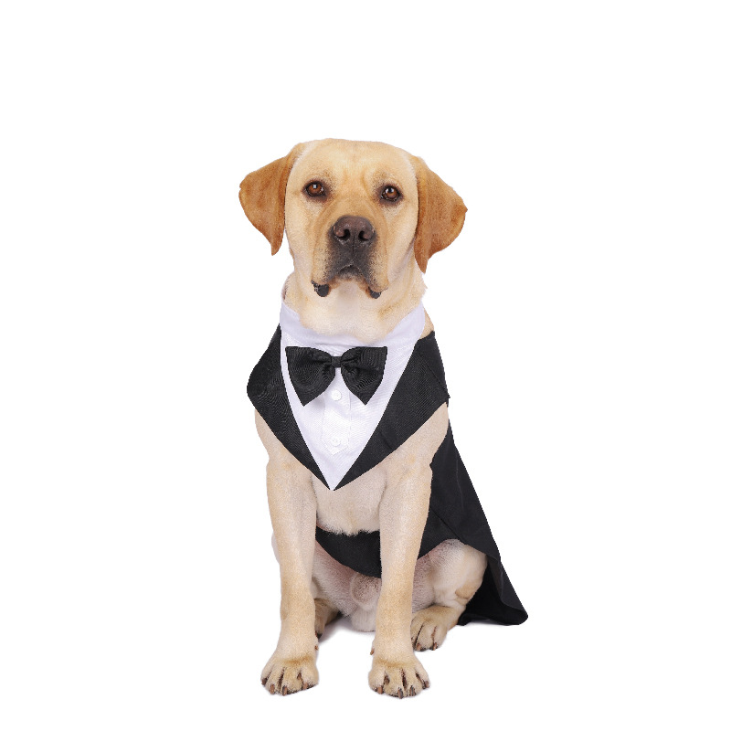 ペットの変装,蝶ネクタイ付きのフォーマルなパーティーウェア, - Suitsupply Wedding Tuxedo のレビューと価格